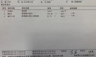 酮体1十是什么意思 酮体1十是什么的意思