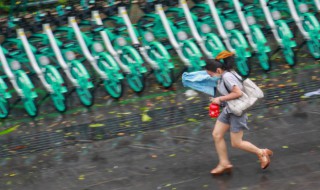 台风橙色预警是什么级别 台风橙色预警的相关知识