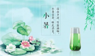 小暑文案茶 小暑文案茶句子有哪些