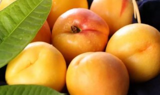 黄金桃的功效与作用有哪些 黄金桃的储存方法