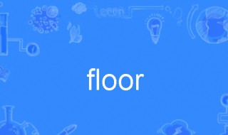 floor是什么意思 floor怎么读