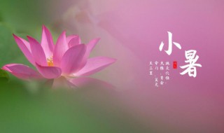 2021年小暑节气意思的简单说明 小暑节气有何特点