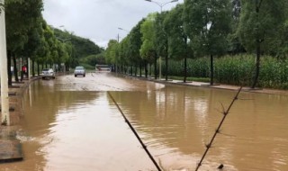 大雨预警有几个级别 暴雨天气应该注意哪些事情