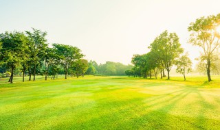 关于风景的资料 有关风景介绍