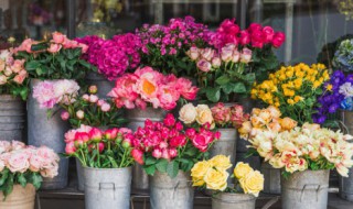 春有百花秋有月全诗解释 关于春有百花秋有月全诗解释