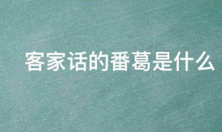 客家话的番葛是什么 客家话的番葛的意思介绍