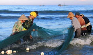 天气冷塘角鱼怎么养 天气冷塘角鱼怎样养