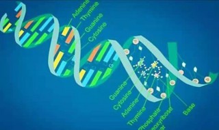 生物手抄报内容 有关生物手抄报内容