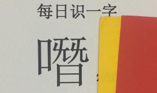 什么是生僻字 生僻字的意思