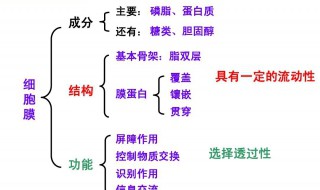 细胞膜的结构特点及功能特性是什么 细胞膜的结构特点与功能特点分别是什么