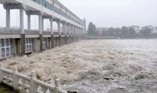 王家坝是哪里 王家坝所属位置