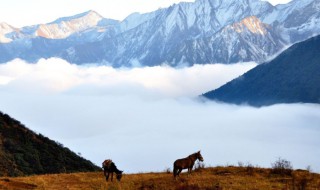 山外有山的意思是什么 山外有山的含义