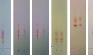 薄层色谱法中Rf值指的是什么 薄层色谱法中Rf值是什么意思