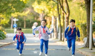 开学祝福短语语大全 关于开学祝福短语语大全