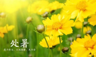 2021处暑节气的含义是什么意思 处暑节气的含义介绍