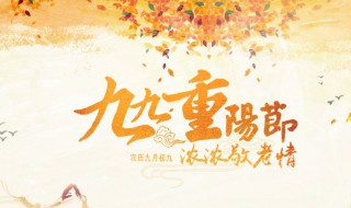 重阳节的问候语 重阳节说什么祝福语