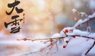 大雪节气特点是什么 大雪节气特点介绍