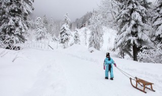 雪景拍照发朋友圈说说 关于雪景拍照发朋友圈说说有哪些