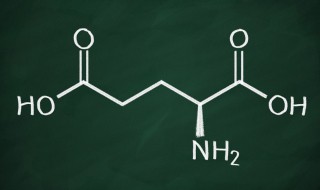 有机物的分类 有机物的分类介绍