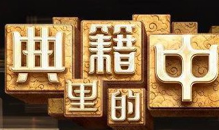 典籍里的中国适合小学生看吗 典籍里的中国是否适合小学生看