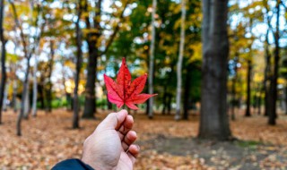 一年四季如何分几个月 一年四季怎么划分的呢