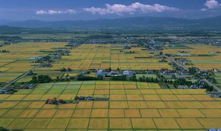 四大平原四大盆地 四大平原四大盆地简单介绍