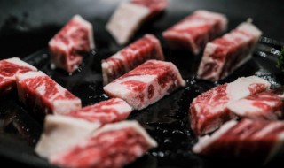 练肌肉需要每天吃肉吗 练肌肉需不需要每天吃肉