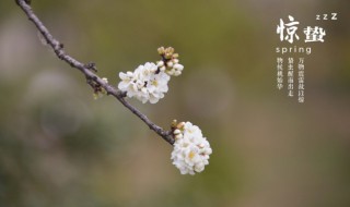 惊蛰节气养生注意事项 惊蛰的时候如何养生