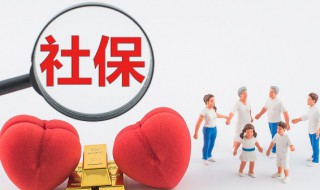 个人社保编号怎么查询 个人社保编号如何查询