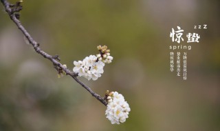 不同节气吃什么东西 不同节气适合吃的食物介绍