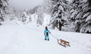 雪车别称是什么 雪车别称介绍