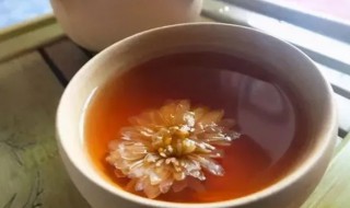 菊花和普洱茶可以一起泡茶吗 菊花和普洱是否可以一起泡茶