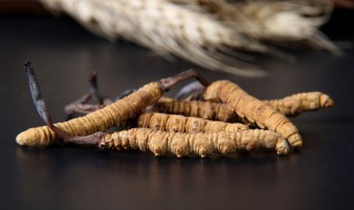 虫草炖老鸭汤要几根虫草 虫草炖老鸭汤的烹饪方法