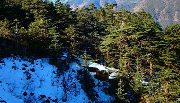 轿子雪山终年都下雪吗