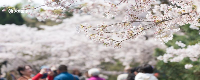 广安市春季赏花去哪里