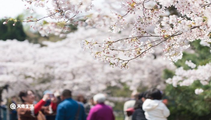 南平市春季赏花去哪里