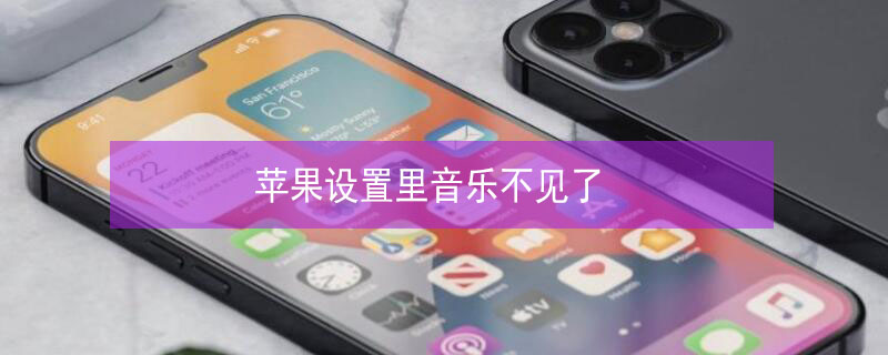 iPhone设置里音乐不见了