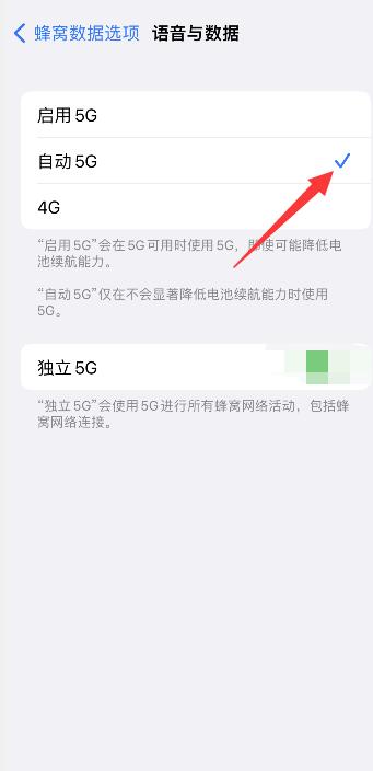 iPhone13开自动5g还是独立5g