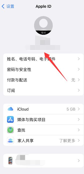 怎么查看iPhoneid密码是多少