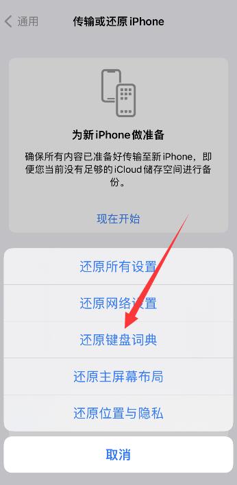 iPhone键盘打不出字怎么回事