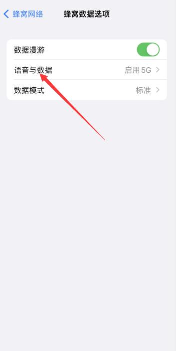 iPhone关闭5g开关