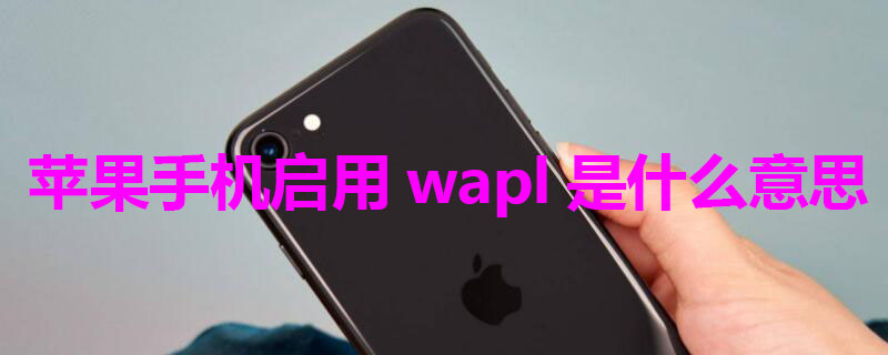 iPhone手机启用wapl是什么意思