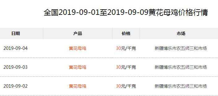 黄花母鸡价格