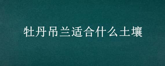 牡丹吊兰适合什么土壤