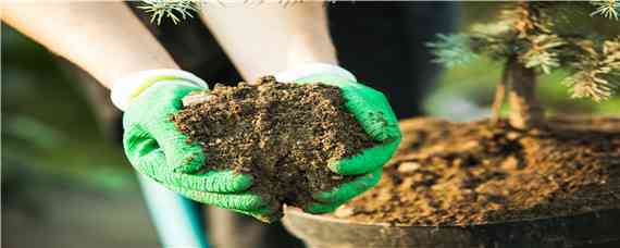 硼肥是什么肥料