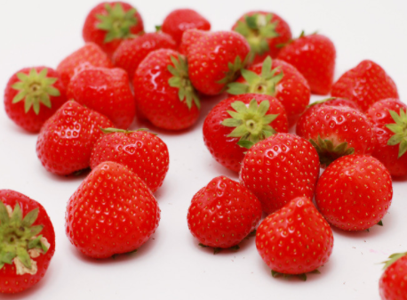 草莓种植时间和方法，草莓怎么高产养殖
