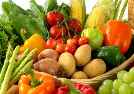 立春蔬菜怎么育苗定植，蔬菜种植方法总结