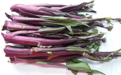 紫菜苔如何追肥，种植方法技巧简介