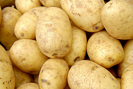 土豆早栽技术技巧，土豆怎么施肥