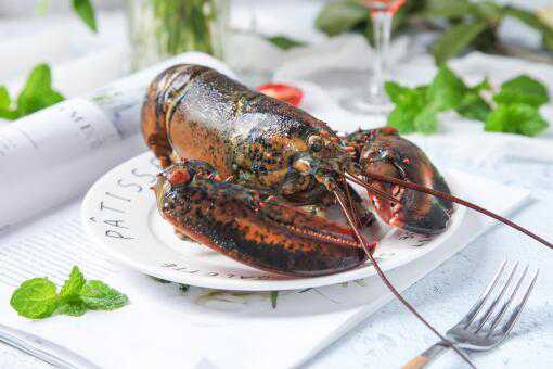 中国不要澳洲龙虾能吃完吗？澳洲龙虾隔夜还能吃吗？
